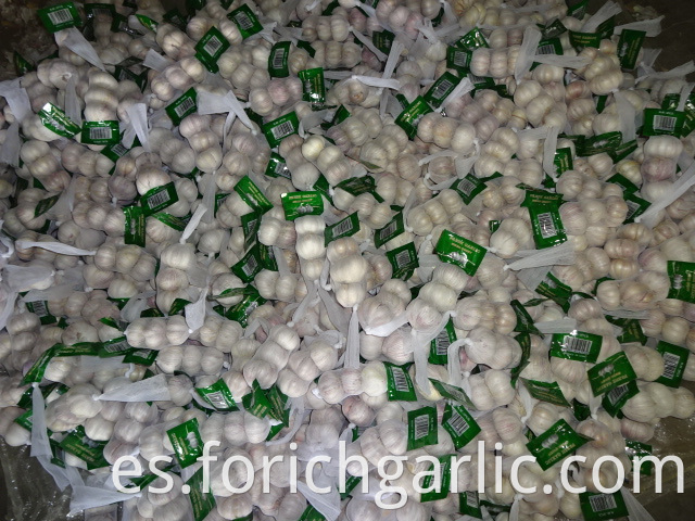 Small Bag Normal White Garlic